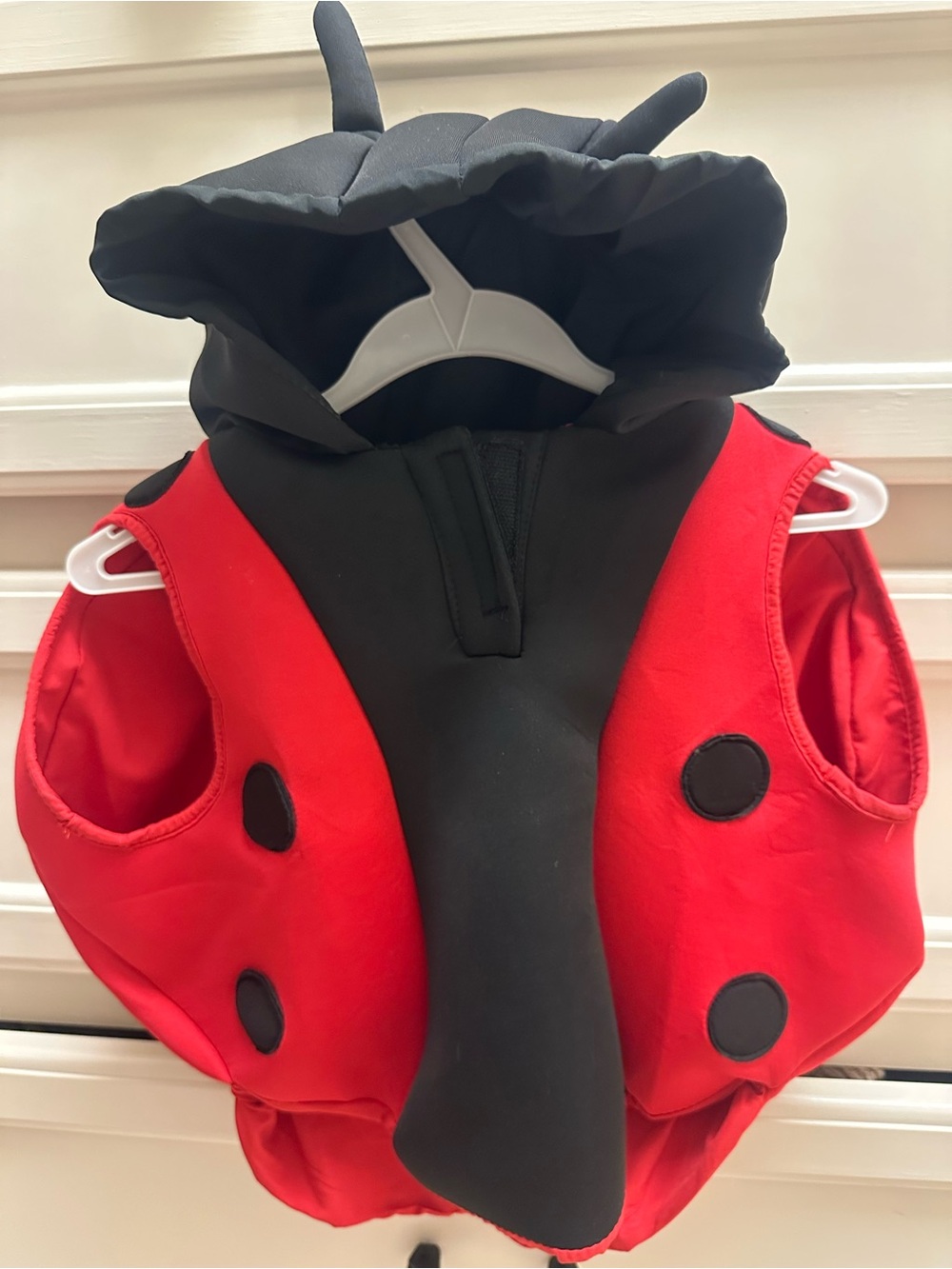 Zara Kids Ladybug Hooded Vest - Red and Black